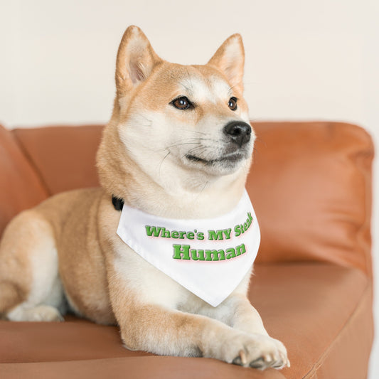 Custom Paw Design "M" Pet Bandana Collar  |  "Where's My Steak Human".