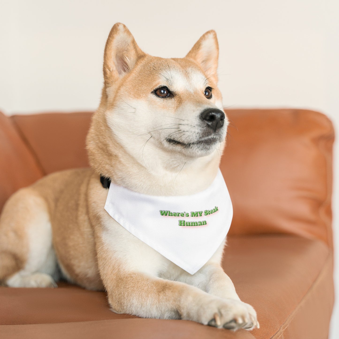 Custom Paw Design Pet "S" Bandana Collar  |  "Where's My Steak Human".