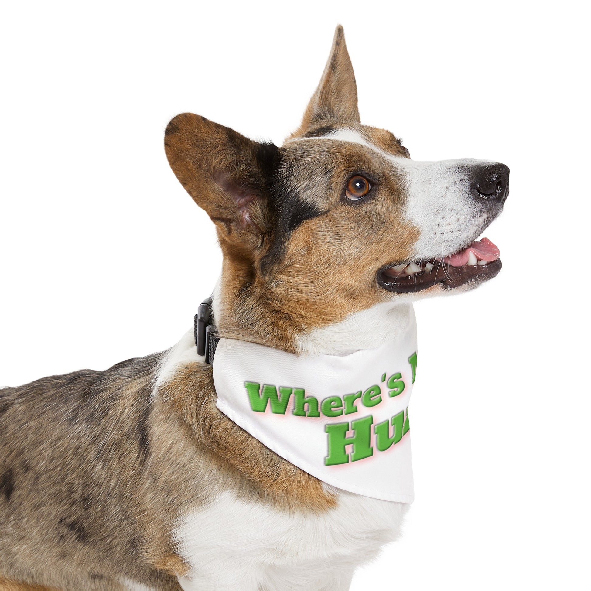 Custom Paw Design "XL" Pet Bandana Collar  |   "Where's My Steak Human".