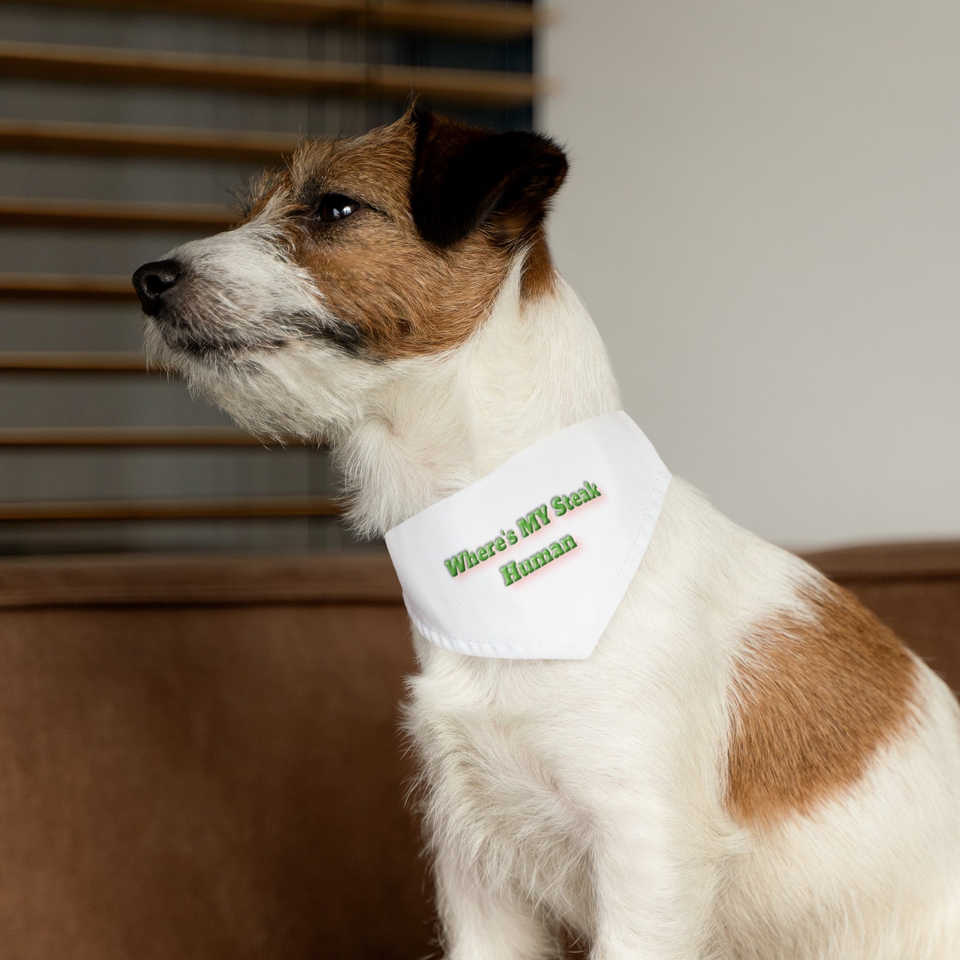 Custom Paw Design Pet "S" Bandana Collar  |  "Where's My Steak Human".