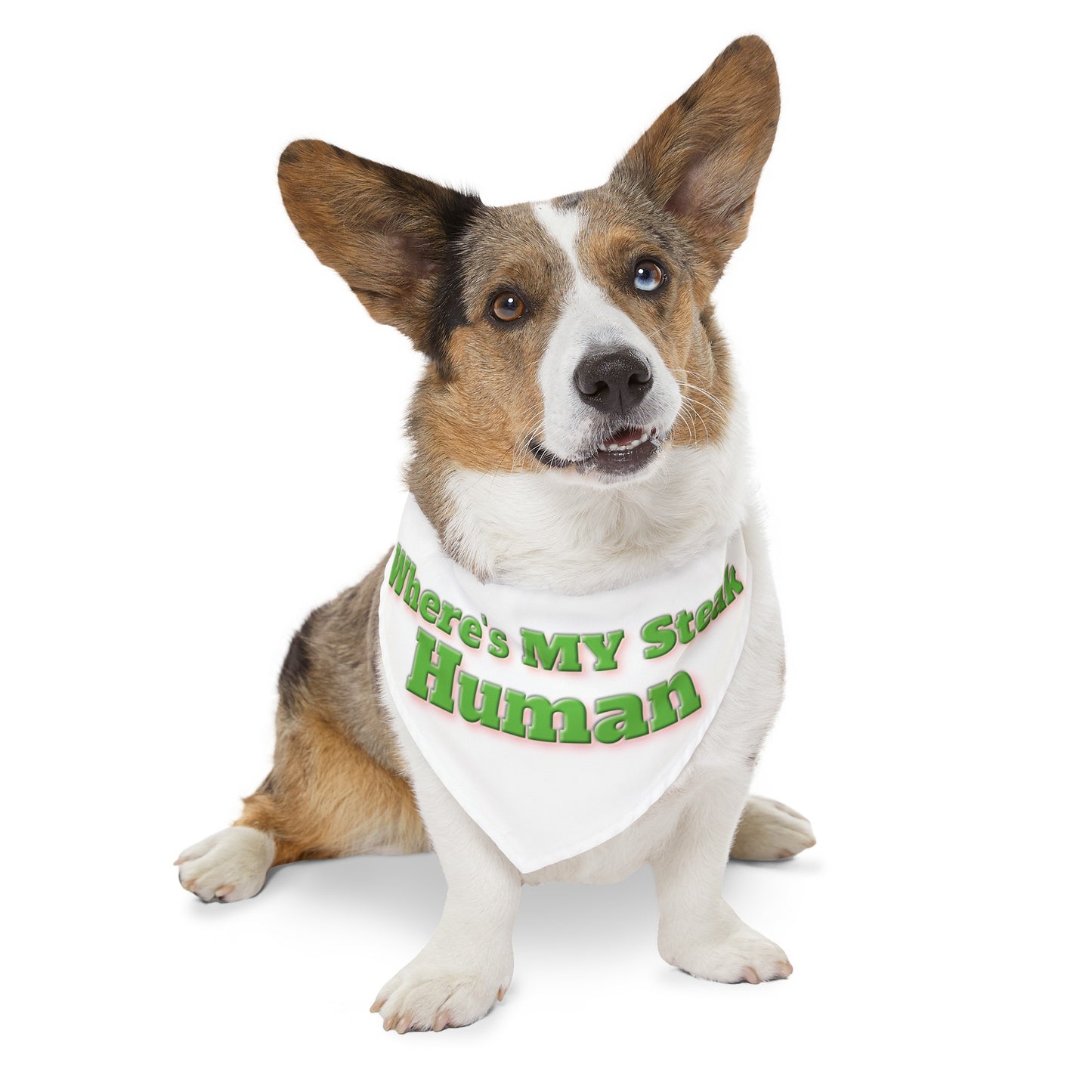 Custom Paw Design "XL" Pet Bandana Collar  |   "Where's My Steak Human".