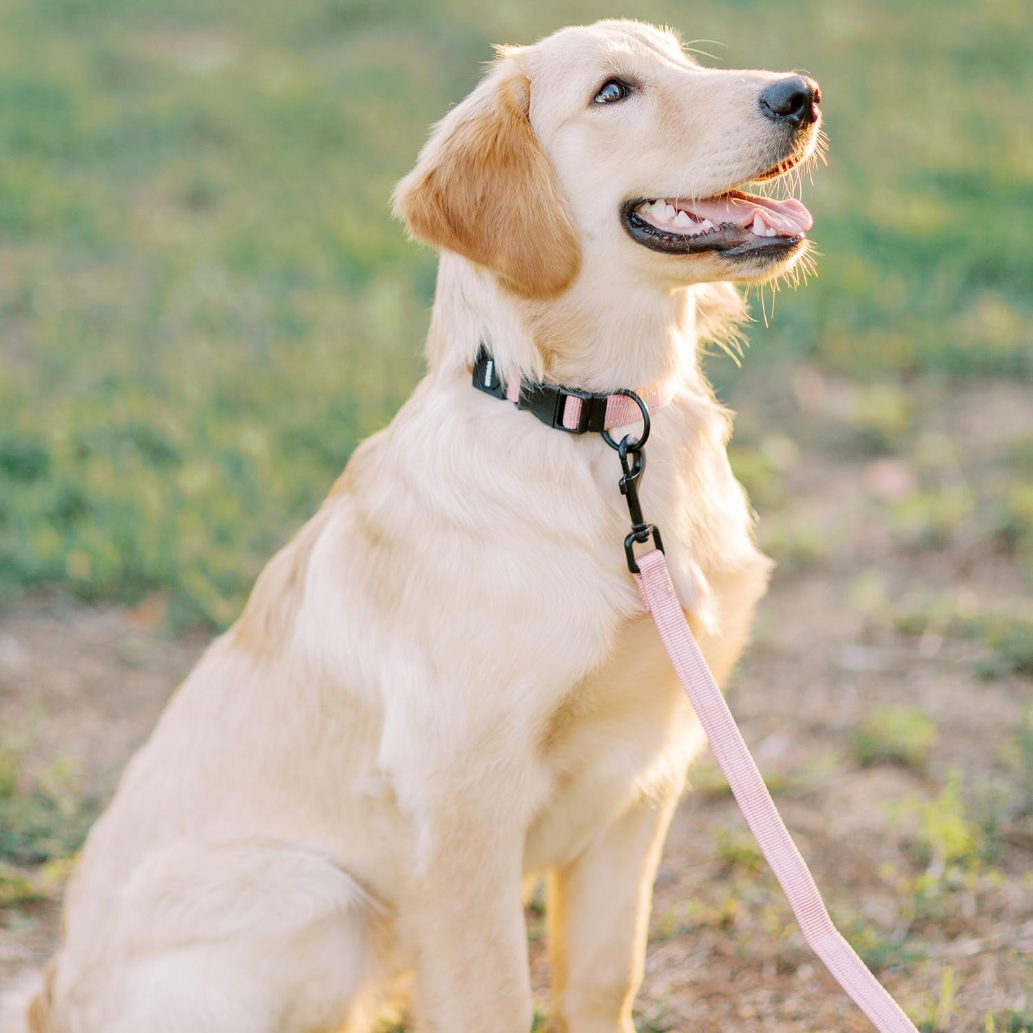 Reflective Dog Leash with Neoprene Handle - 5Ft Long - Supports Small, Medium, and Large Breed Puppies - Ideal for Walking, Running, and Training - Pink - 3/4" X 5Ft