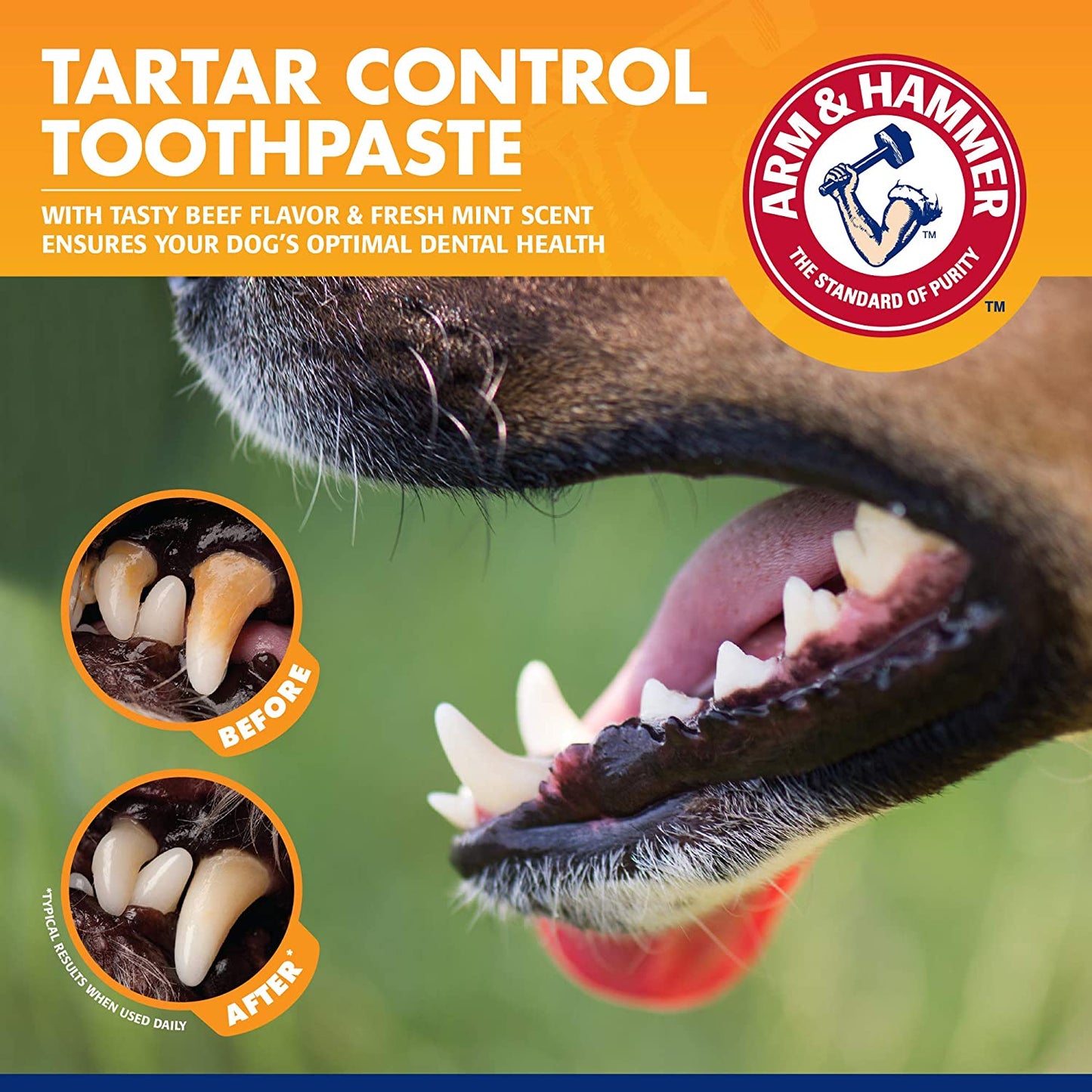 for Pets Tartar Control Kit for Dogs | Contains Toothpaste, Toothbrush & Fingerbrush | Reduces Plaque & Tartar Buildup | Safe for Puppies, 3-Piece , Beef Flavor