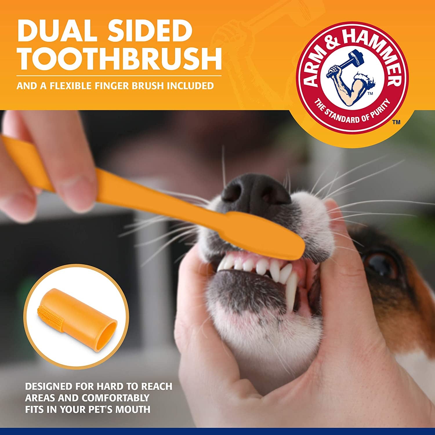 for Pets Tartar Control Kit for Dogs | Contains Toothpaste, Toothbrush & Fingerbrush | Reduces Plaque & Tartar Buildup | Safe for Puppies, 3-Piece , Beef Flavor